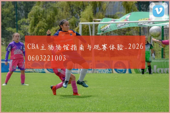 CBA主场场馆指南与观赛体验_20260603221003