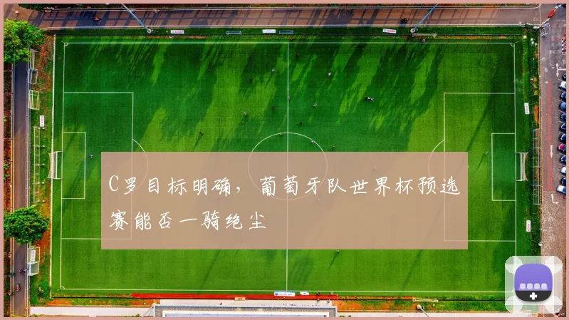 C罗目标明确,葡萄牙队世界杯预选赛能否一骑绝尘